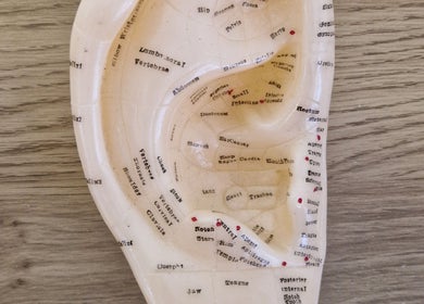 Ear reflexology chart at AcuRodos - Acupuncture & Chinese Medicine Clinic, Clonee, Leinster, IE.