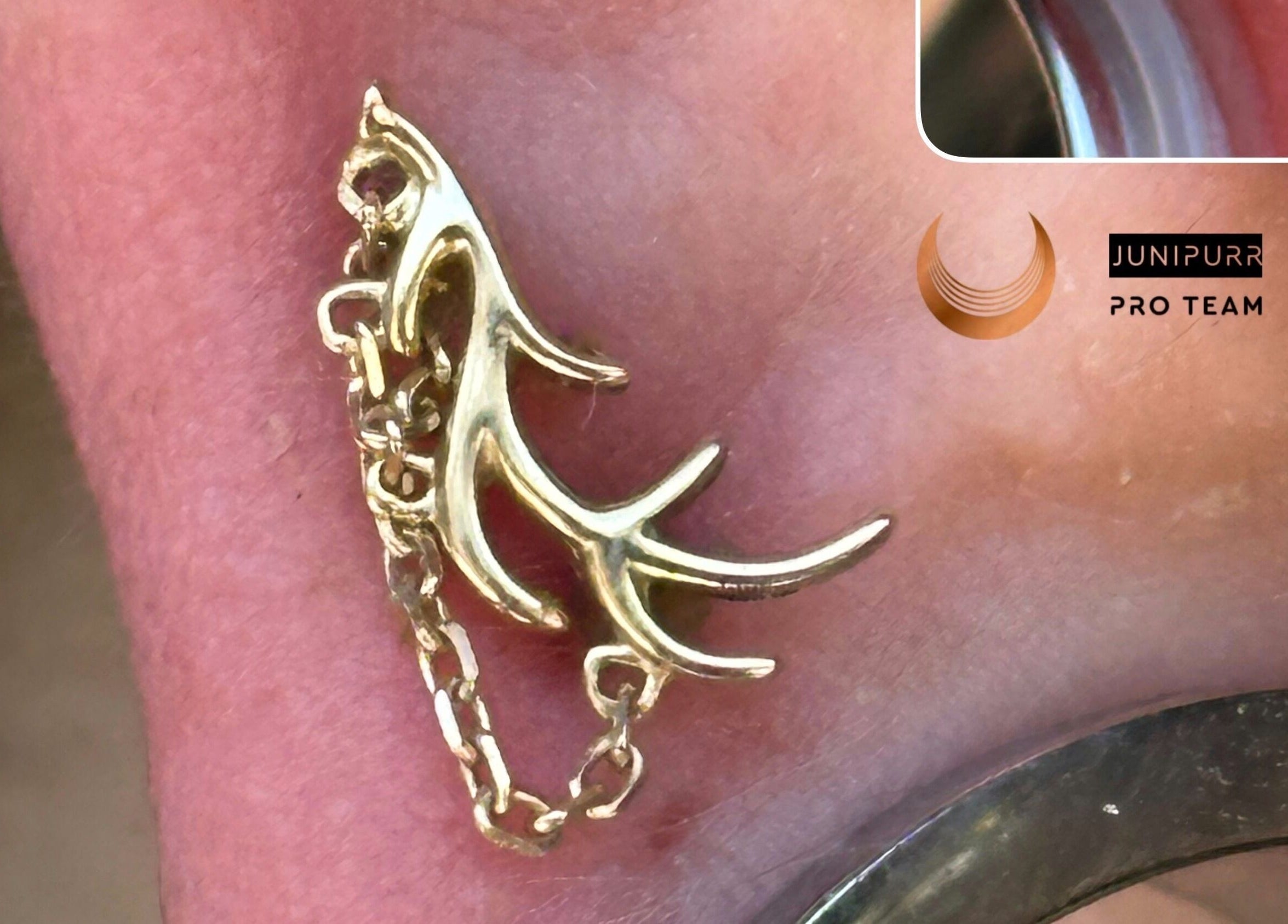 Elegant golden ear piercing at The Piercing Co, Bridgend, Wales, GB, showcasing unique craftsmanship.