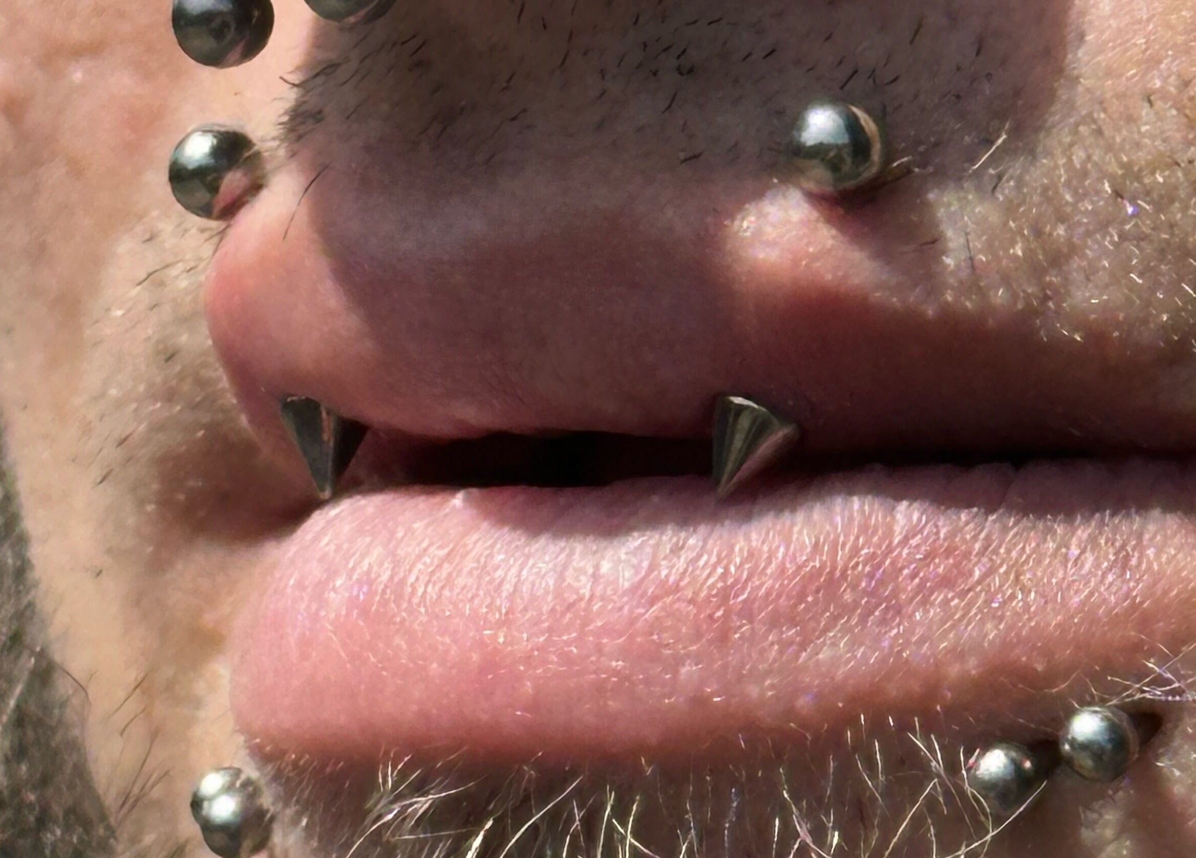 Close-up of facial piercings crafted by The Piercing Co, Bridgend, Wales, GB.