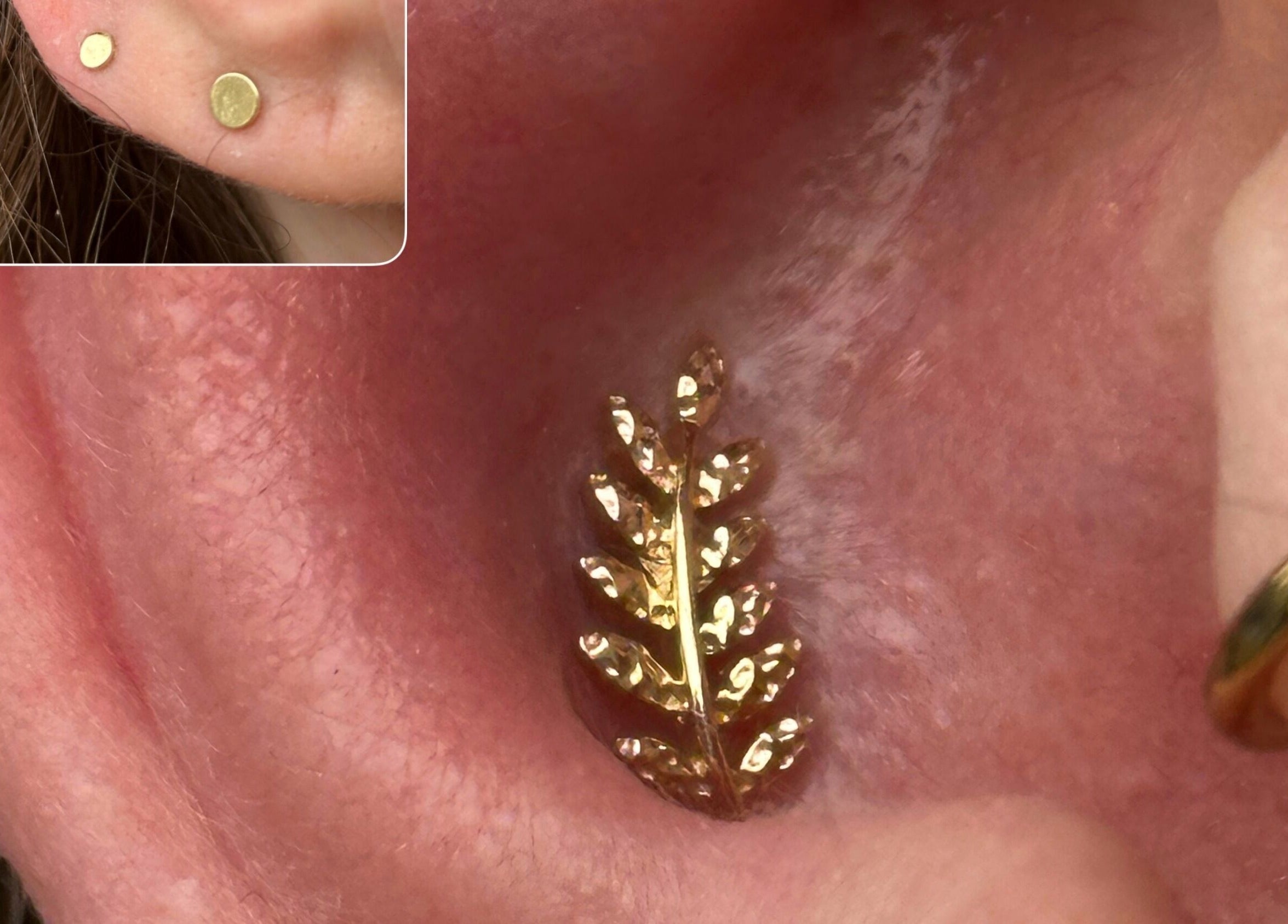 Elegant gold leaf ear piercing at The Piercing Co, Bridgend, Wales, GB. Intricately crafted jewelry piece.