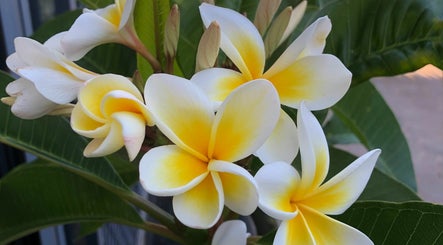 Melinda’s Beauty Room image 3