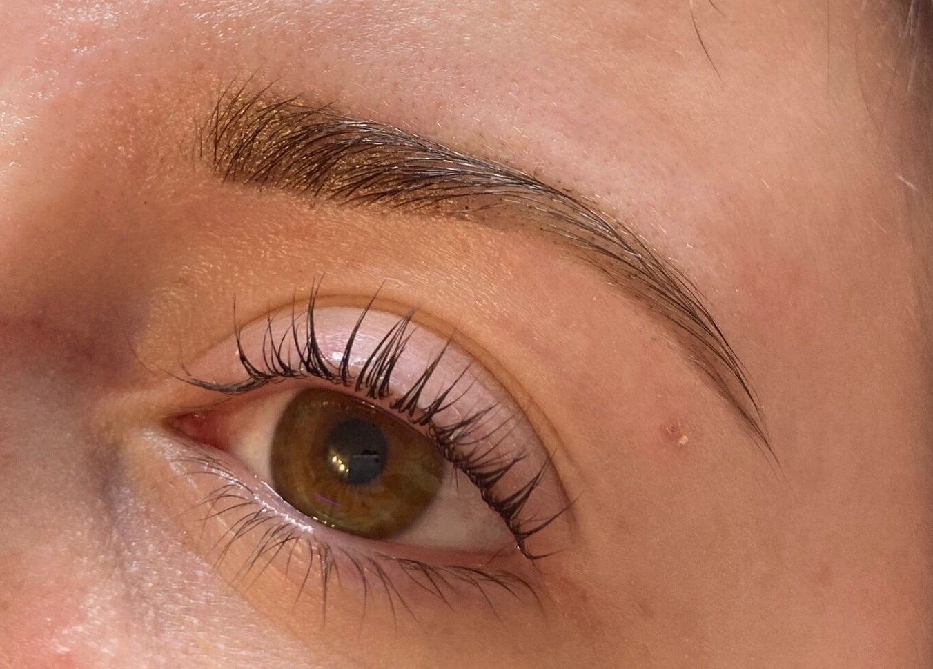 Close-up of groomed eyebrow and lashes at Source in Methven, Scotland, GB.