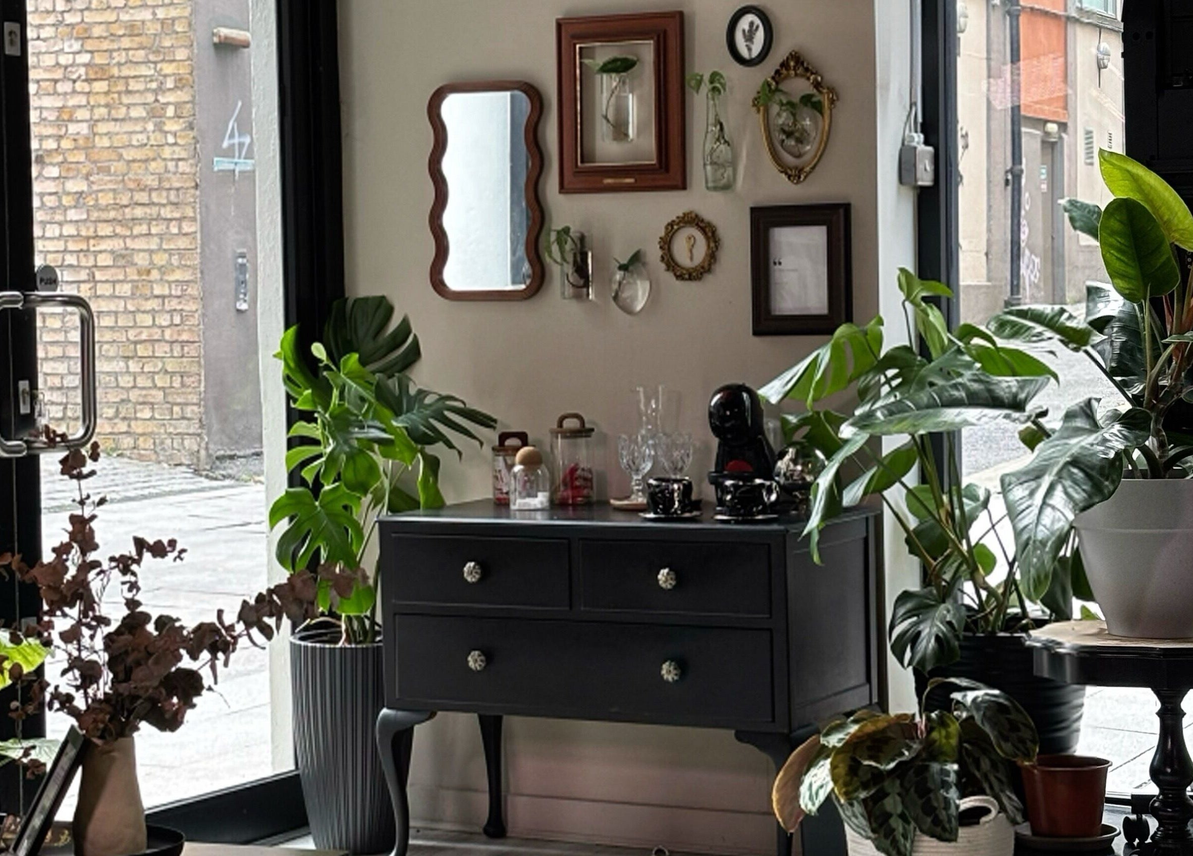 Bea Brow Artistry's chic interior with plants and decor in Dublin Southside, County Dublin, IE.