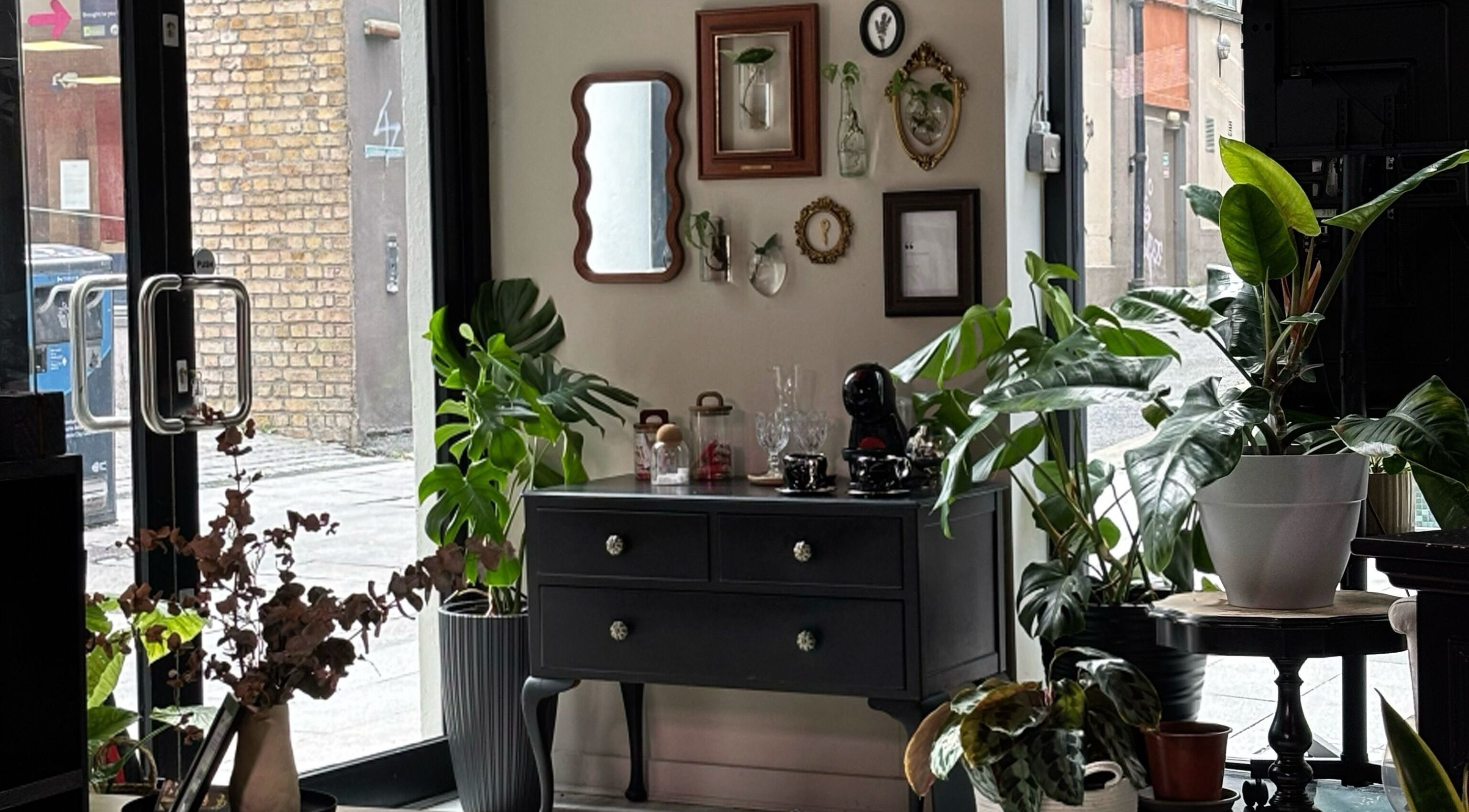Bea Brow Artistry's chic interior with plants and decor in Dublin Southside, County Dublin, IE.