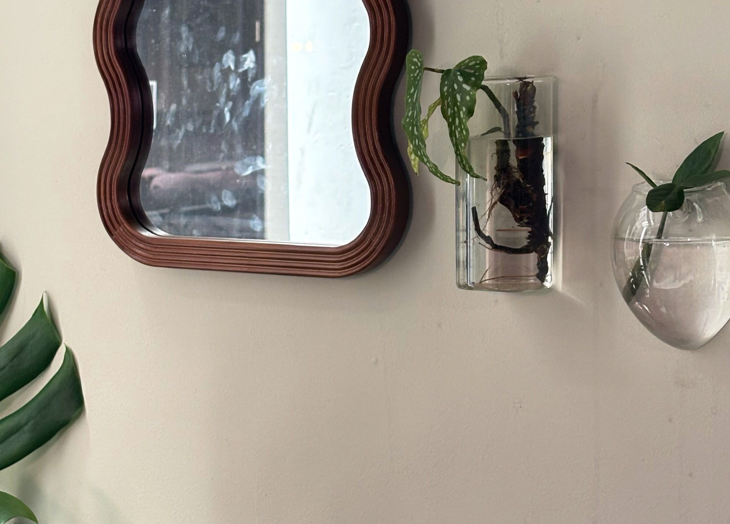 Stylish wall with mirror and plants at Bea Brow Artistry, Dublin Southside, County Dublin, IE.