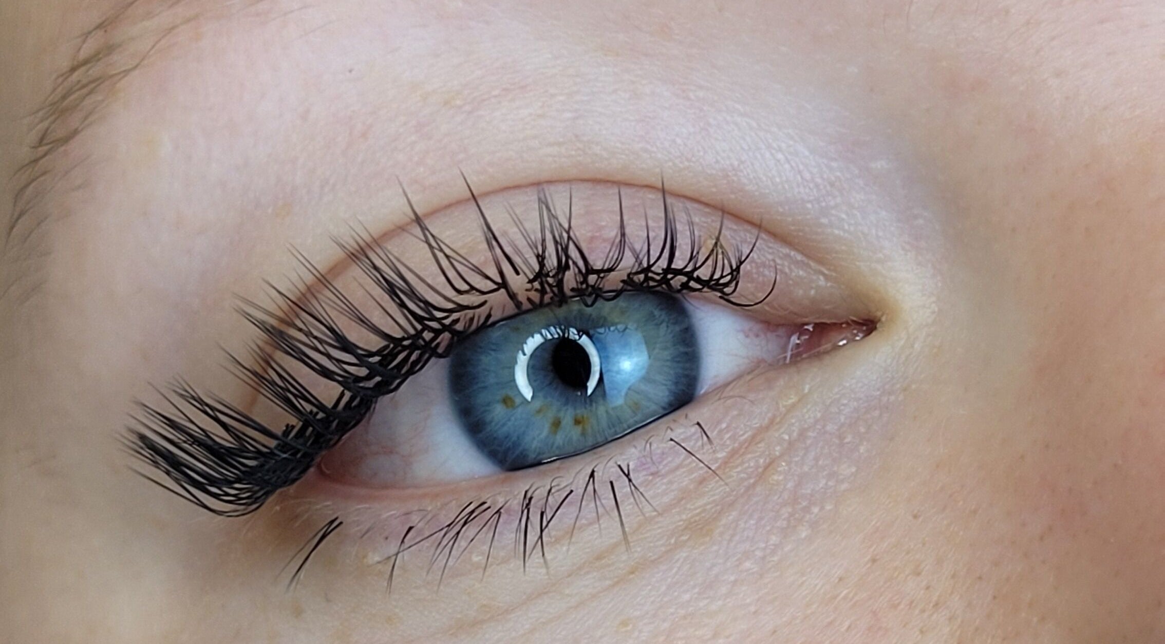 Close-up of styled lashes by Alex Kim MUA in Melbourne, Victoria, AU, showcasing intricate eyelash artistry.