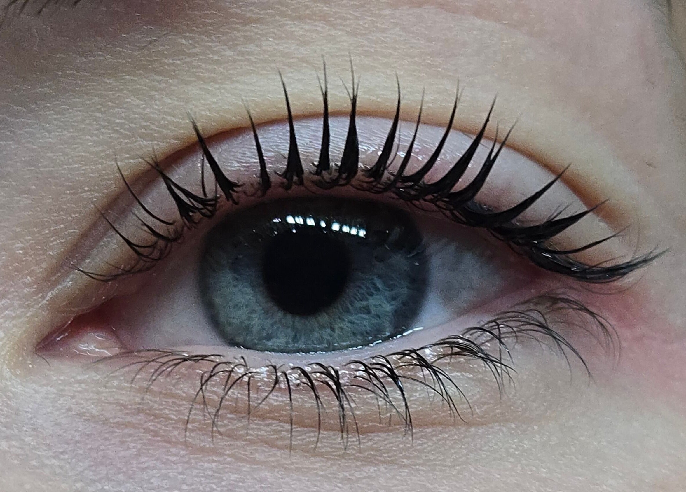 Close-up of enhanced eyelashes at Bala Esthetics Inc., Edmonton, Alberta, CA, showcasing detailed lash work.