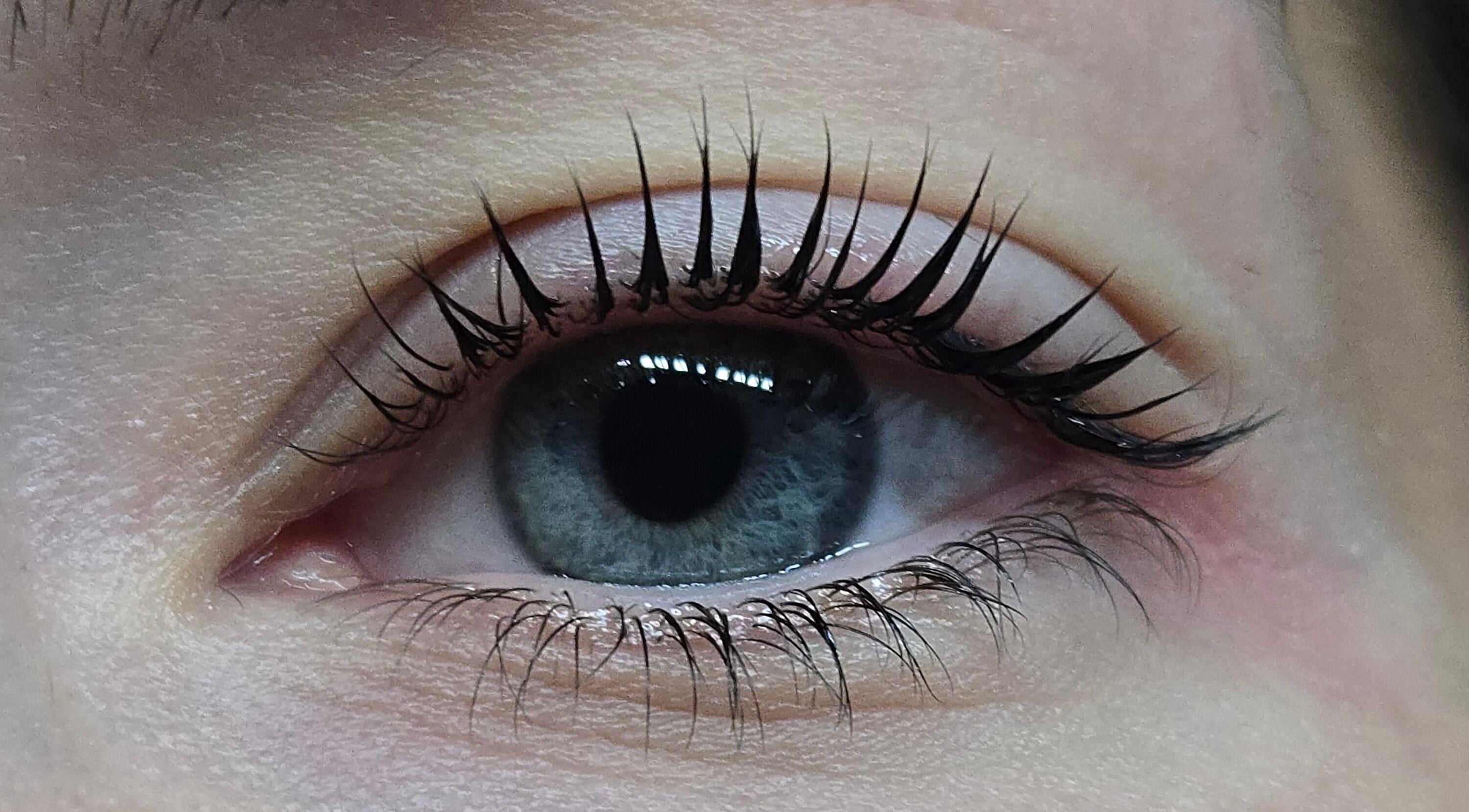Close-up of enhanced eyelashes at Bala Esthetics Inc., Edmonton, Alberta, CA, showcasing detailed lash work.