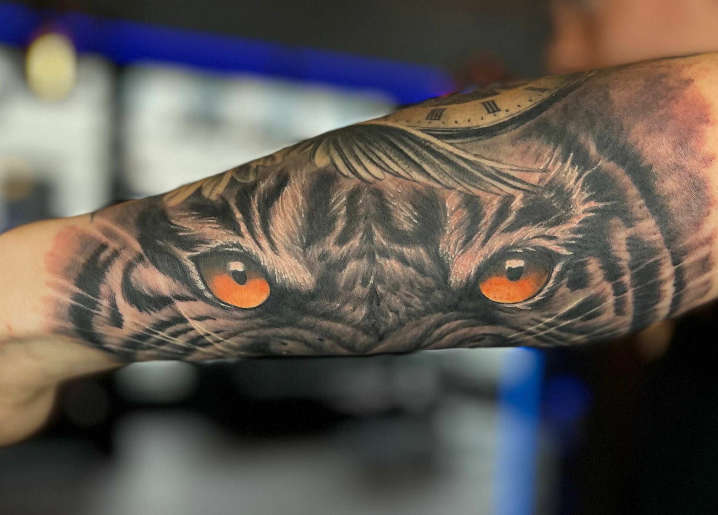 Close-up of a detailed tiger eyes tattoo at Kristiansand, Agder, NO venue.