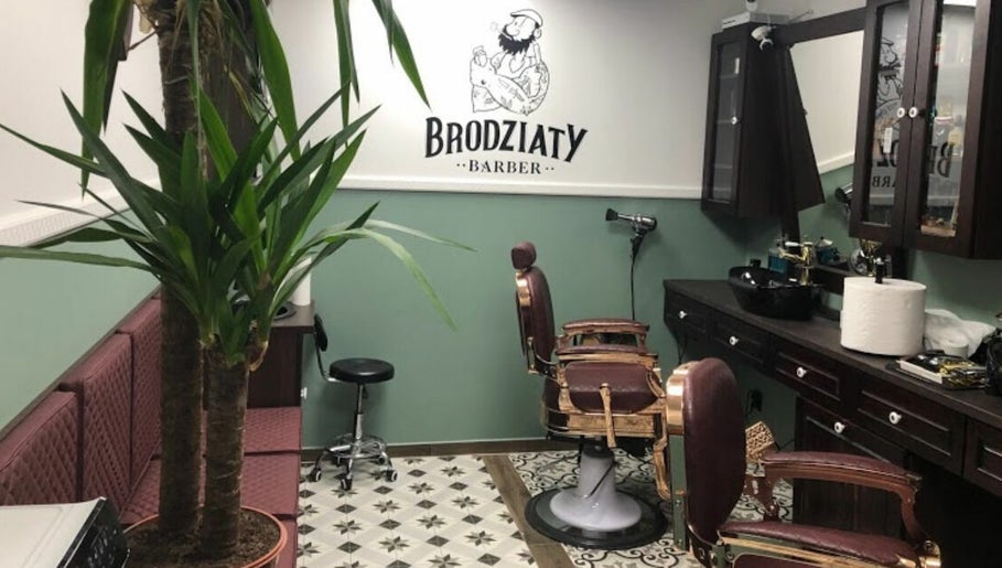 Brodziaty Barber – obraz 1