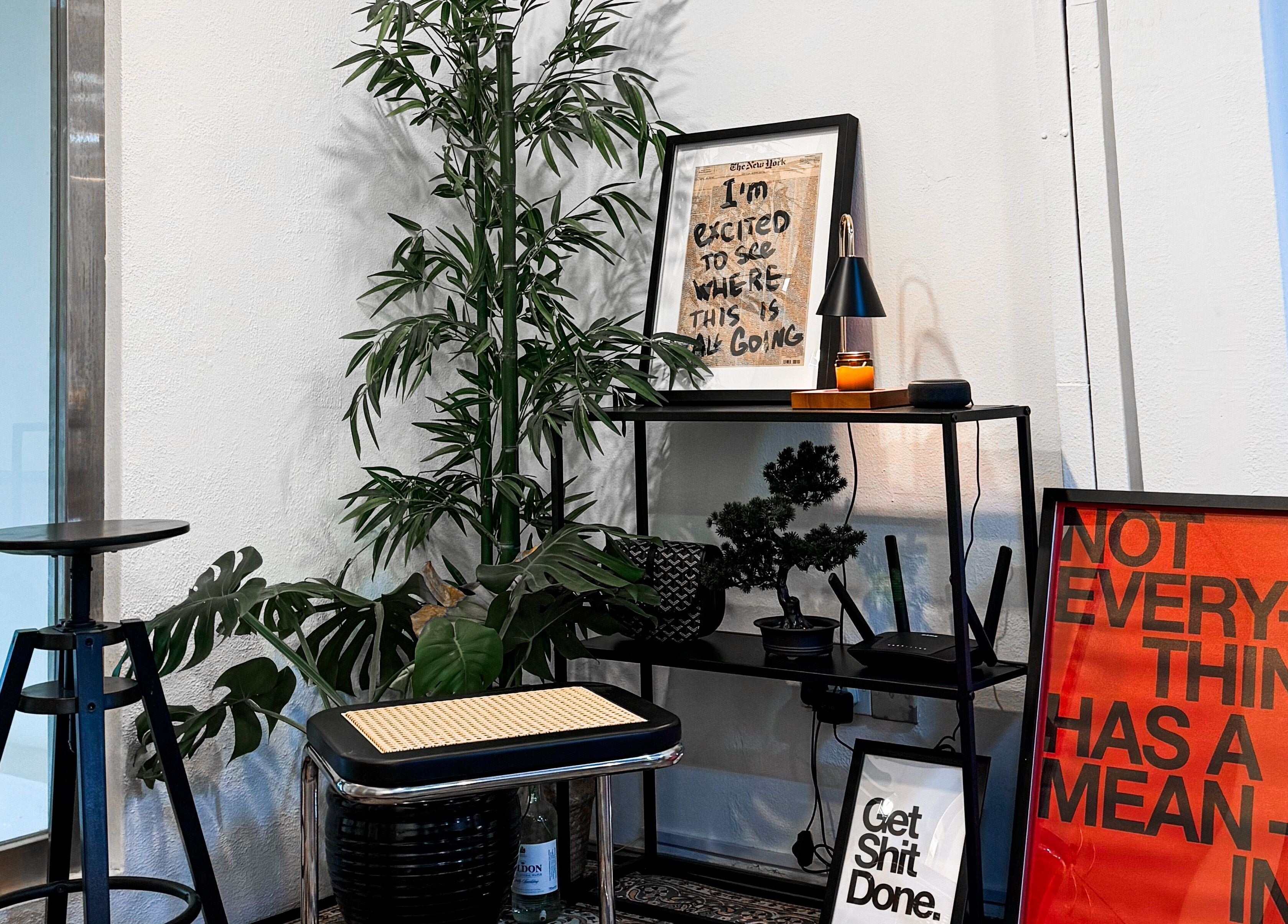 Trendy interior decor at Mane Of Man, Singapore, SG showcasing stylish frames and plants.