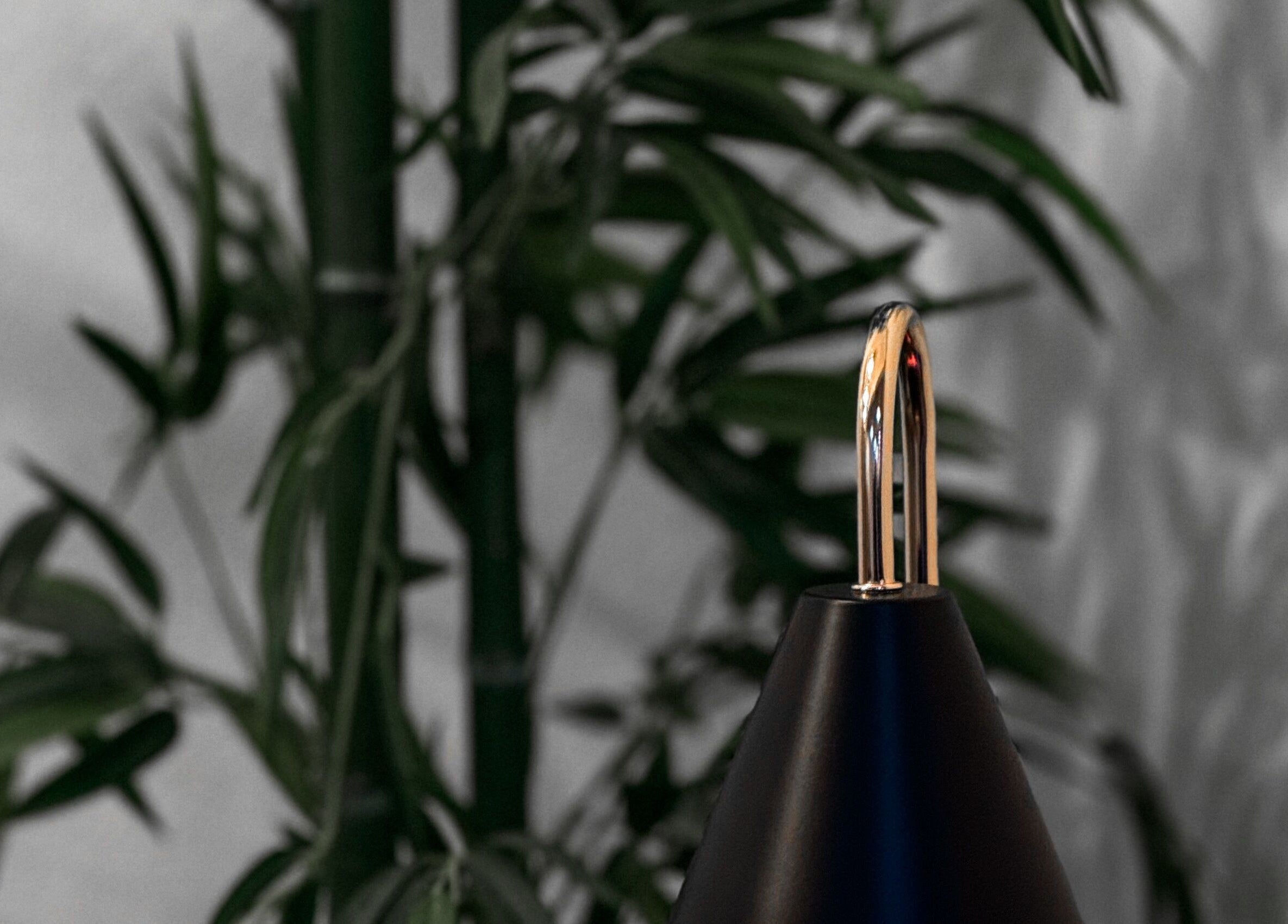 Sophisticated lamp and green bamboo at Mane Of Man, Singapore, Singapore, SG.