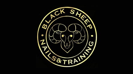 Black Sheep Nails and Training