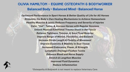 Olivia Hamilton - Equine Osteopath & Bodyworker – obraz 2