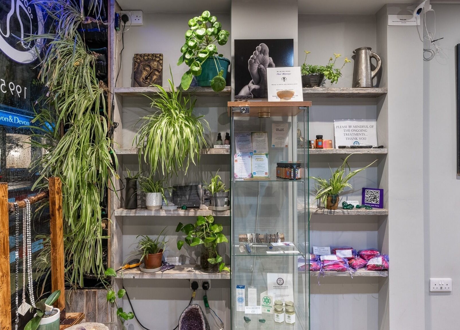 Reflexions Bayswater in London, England, GB features a serene display of plants and wellness products.