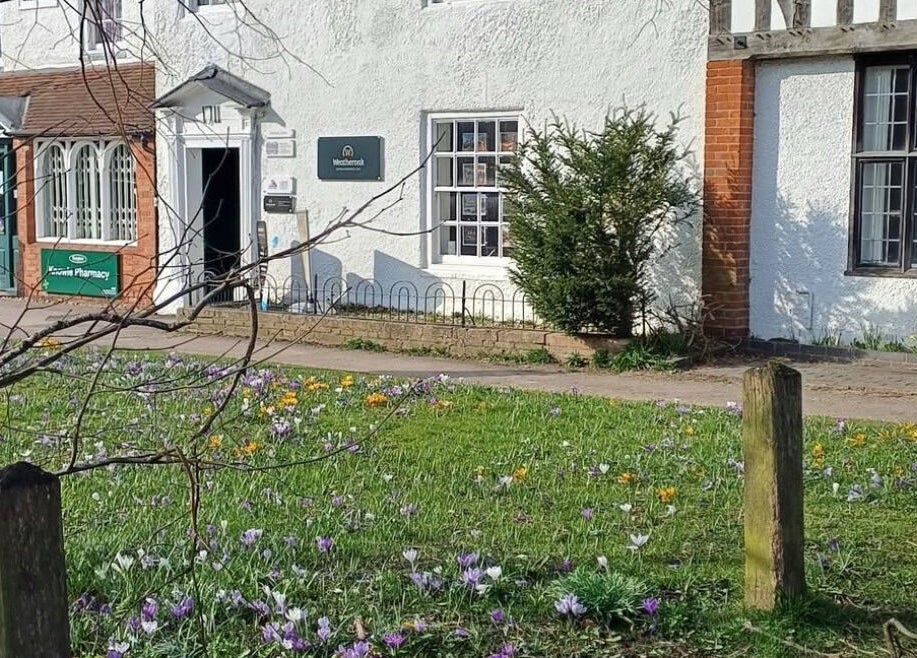 Aestherapy By Sophie Shakira, Knowle, England, GB surrounded by vibrant spring flowers.