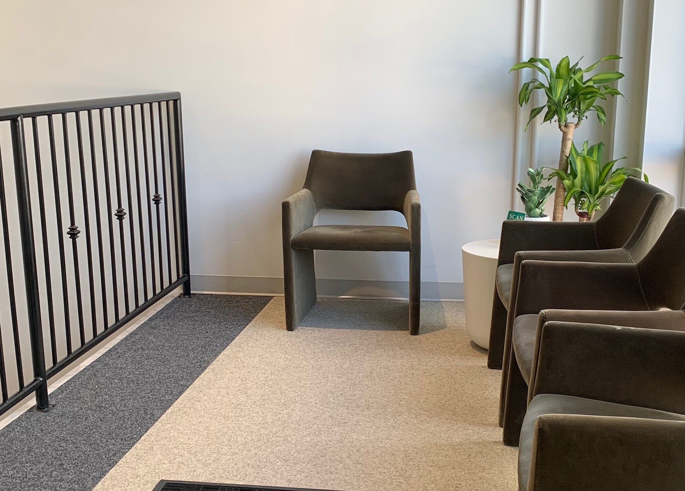 Waiting area at Vertex Aesthetics in Toronto, Ontario, CA with chairs and plants for a calm ambiance.