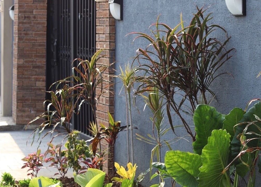 VstylesHair & Beauty Studio entry with lush plants, creating a welcoming vibe at Ikeja, Lagos, NG.