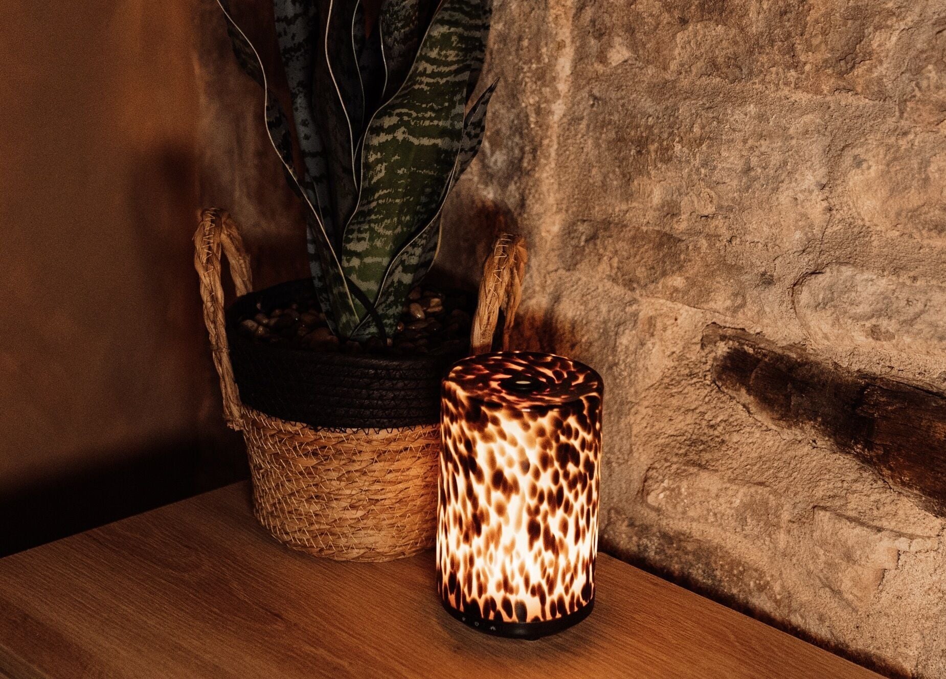 Warm lighting and plant decor at House of Soul Feniscowles, Feniscowles, England, GB create a soothing ambiance.
