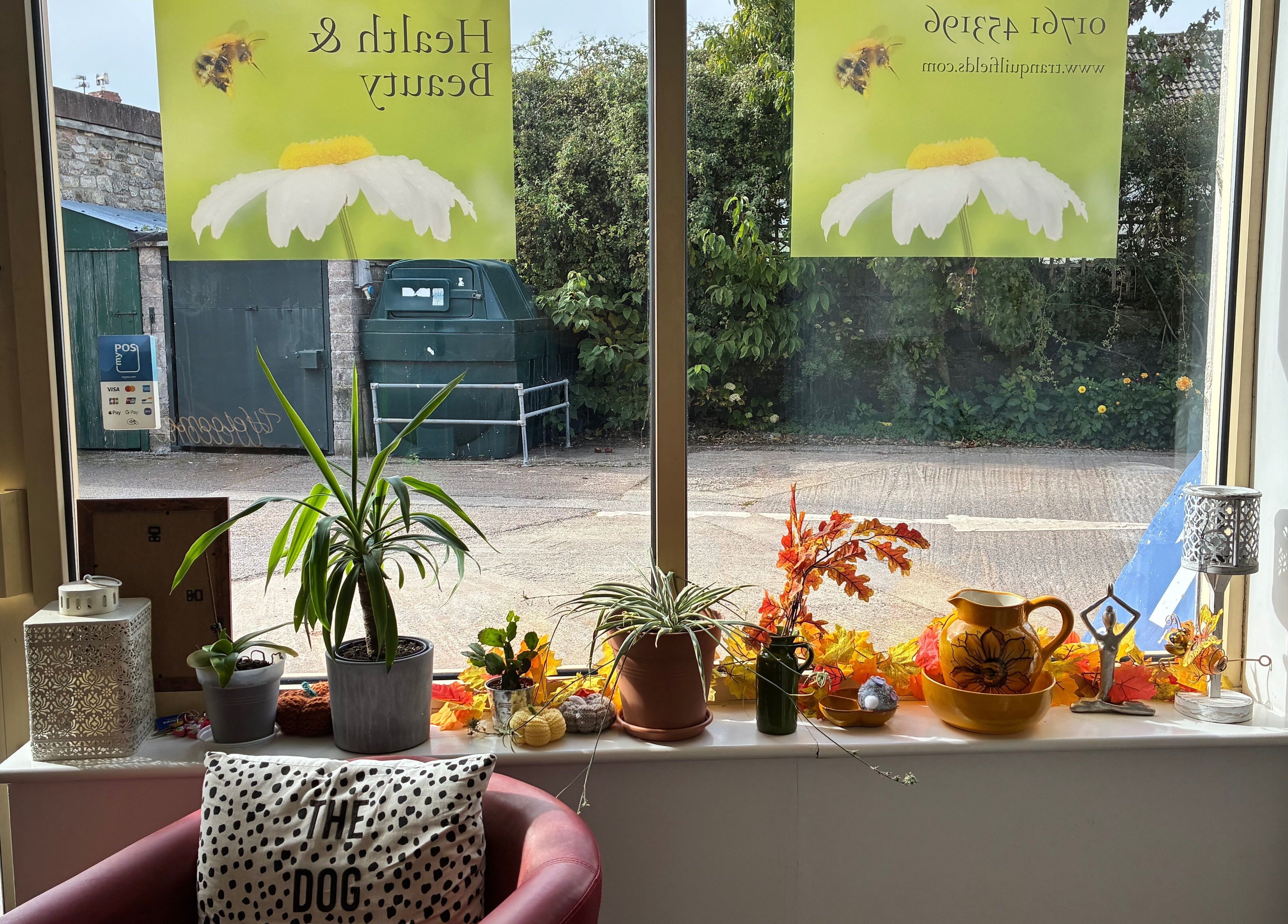 Charming window view at Tranquil Fields, Farrington Gurney, England, GB showcasing indoor plants and decor.