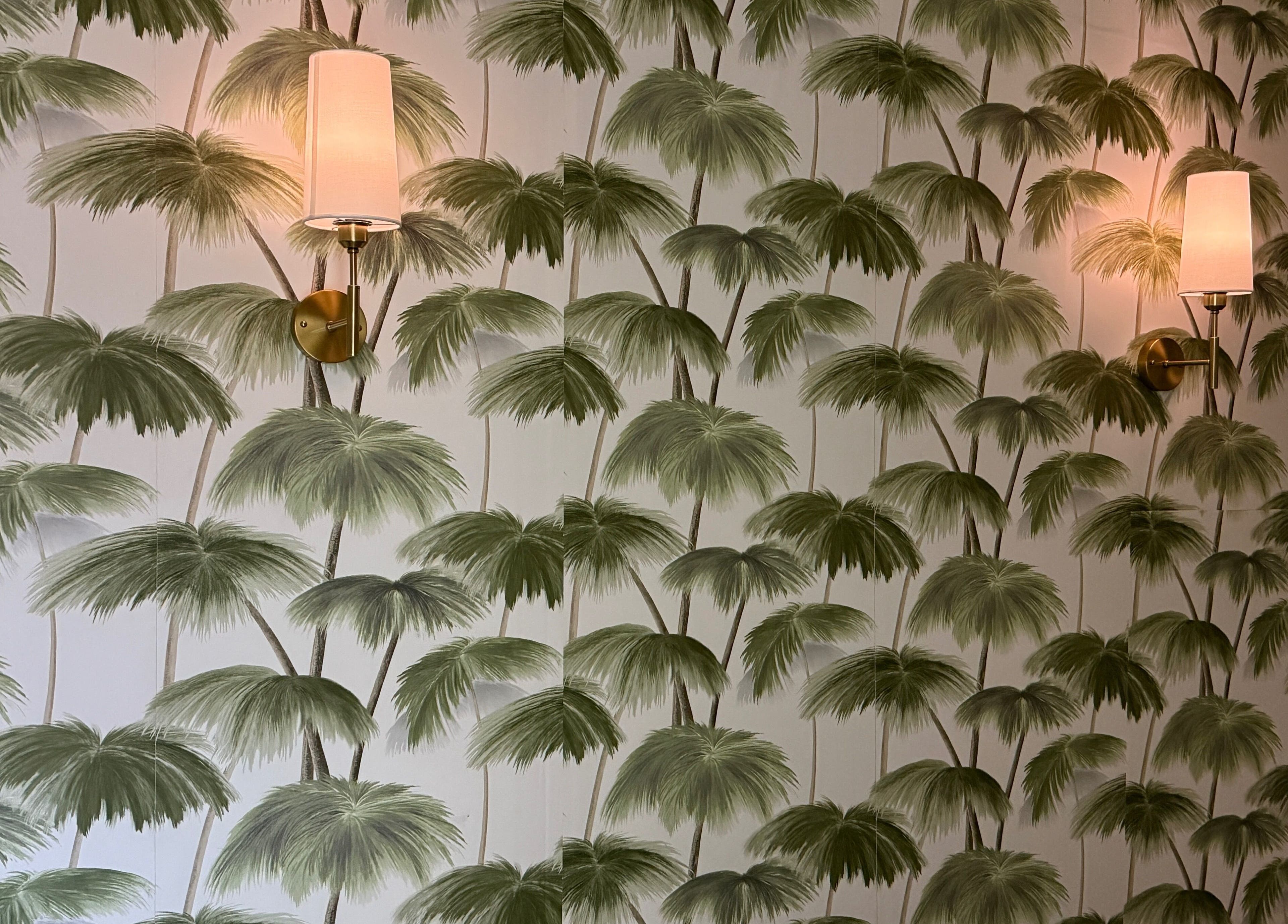 Elegant wall sconces on palm wallpaper at Enhance Aesthetics, Canaan, Tobago, TT.