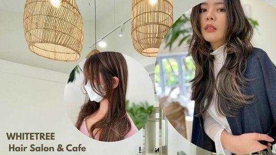 WHITETREE Hair Salon & Cafe