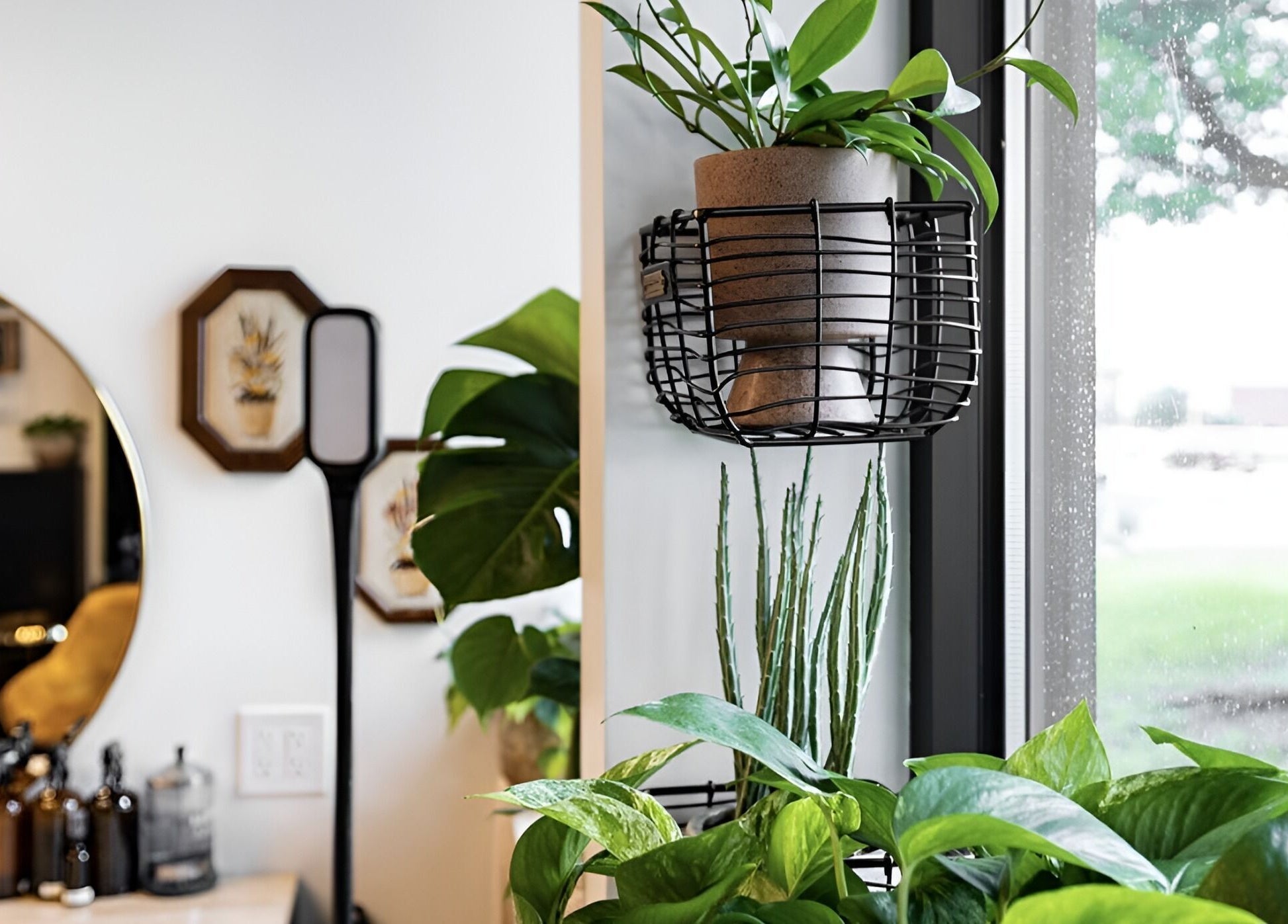 Lush plant decor at Wildflower Beauty Room, Clarkston, Michigan, US, enhances a serene ambiance.