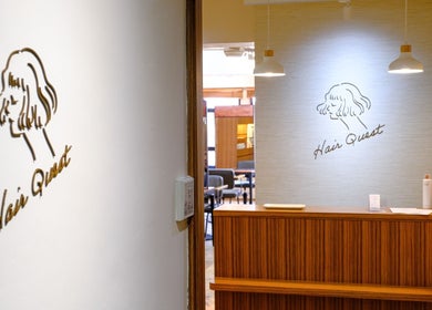 Reception area of Hair Quest on Hong Kong Island, HK showcasing elegant decor and welcoming ambiance.