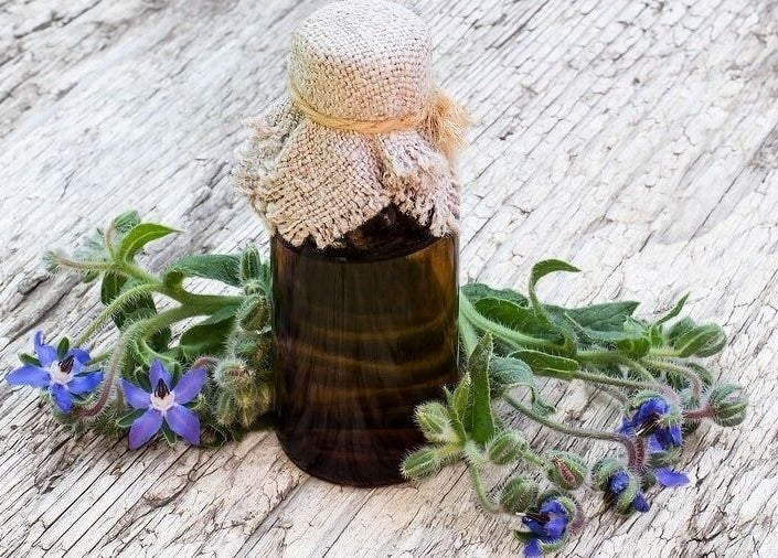 A glass jar of herbal oil with borage flowers at The Beauty Garden, Bray, County Wicklow, IE.