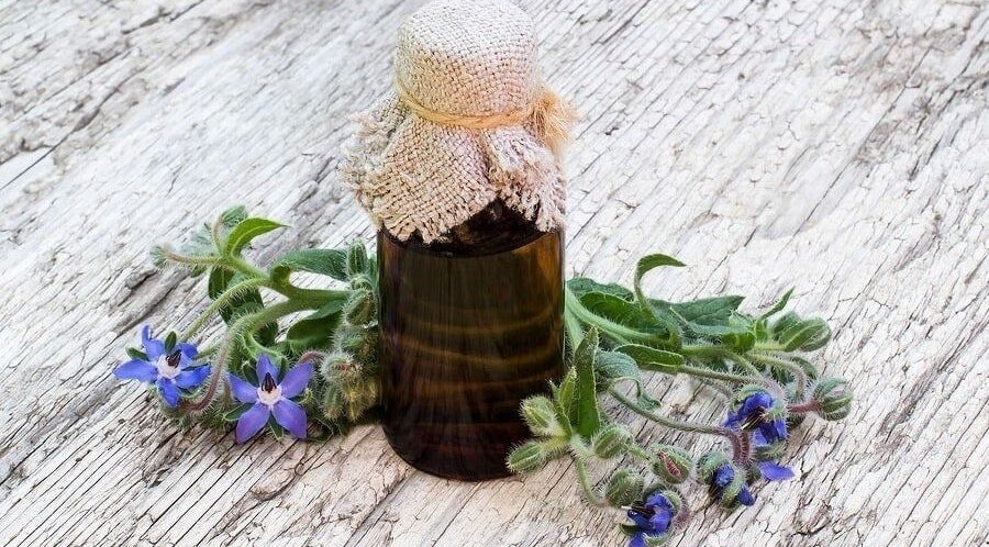 A glass jar of herbal oil with borage flowers at The Beauty Garden, Bray, County Wicklow, IE.