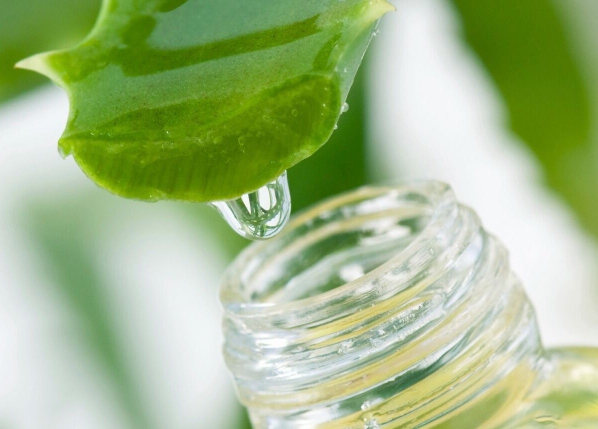 Aloe leaf essence dripping into a bottle at The Beauty Garden in Bray, County Wicklow, IE.