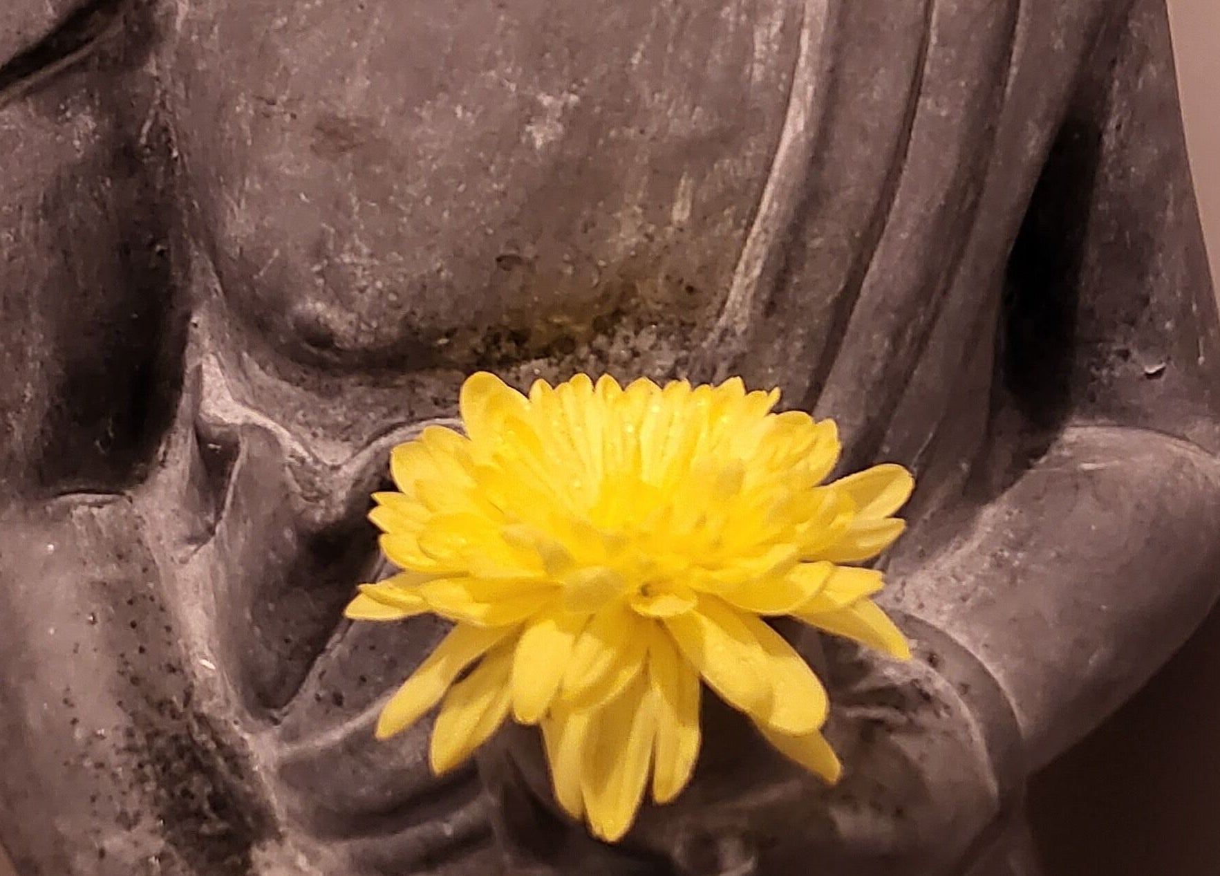 Steinstatue mit gelber Blüte bei Body Mind Academy in Kiel, Schleswig-Holstein, DE.