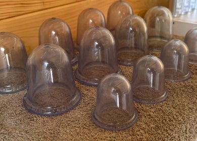 Cupping therapy cups at Rio Bluebell Therapies, Salisbury, England, GB, enhance holistic wellness.