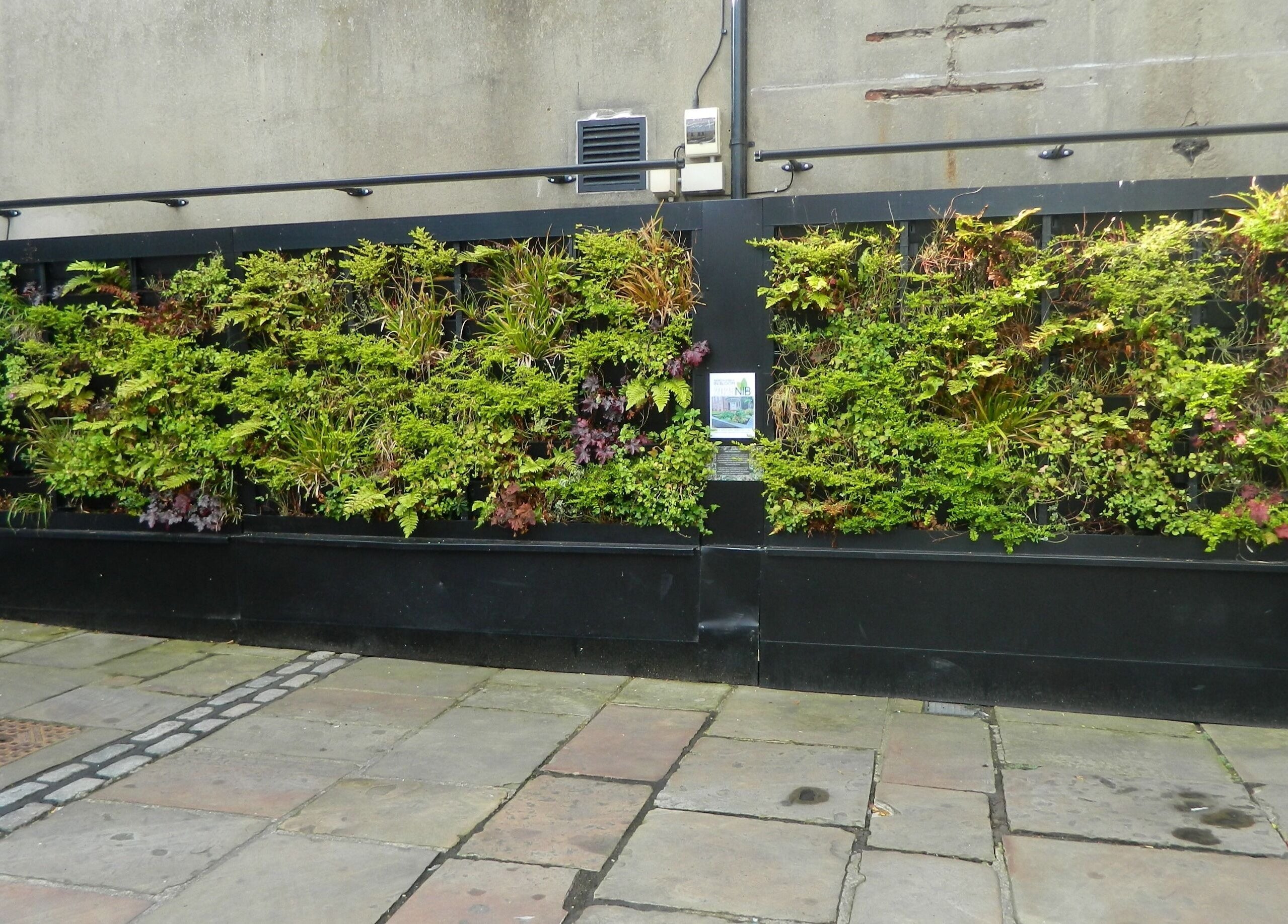 Vertical garden at Aquaintance Hair Salon, Darlington, England, GB, enhancing the salon's serene atmosphere.