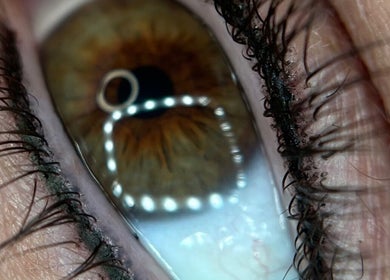 Close-up of an eye with detailed lashes at Timeless Beauty Aesthetics, Emalahleni, Mpumalanga, ZA.