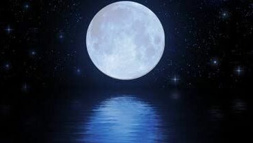 LUNA Aesthetics  image 1