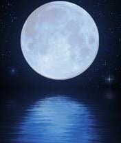 LUNA Aesthetics  image 2