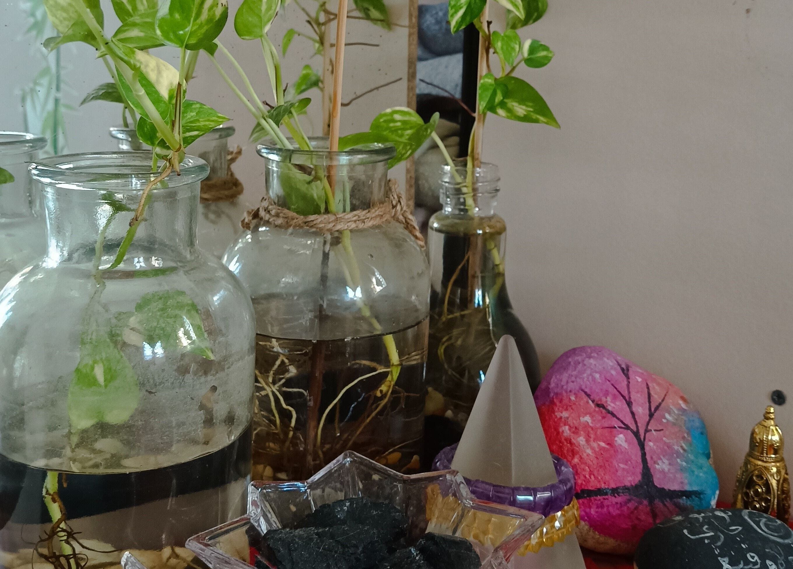 Charming decor at Tusuk Jari Pulau Pinang, Bukit Mertajam. Glass jars with green cuttings and colorful stones.