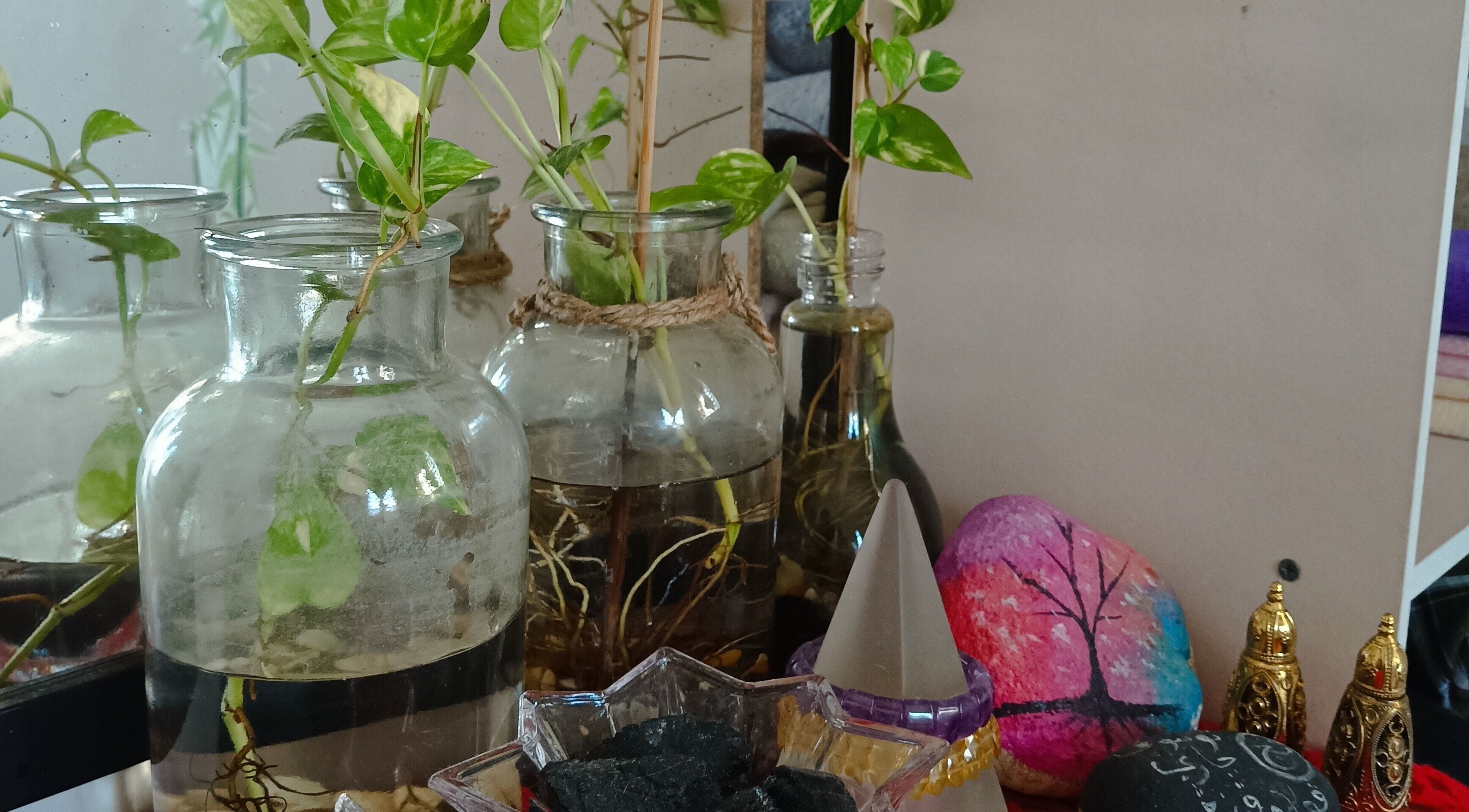 Charming decor at Tusuk Jari Pulau Pinang, Bukit Mertajam. Glass jars with green cuttings and colorful stones.
