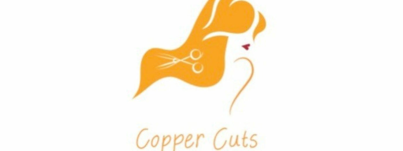 Copper Cuts image 1