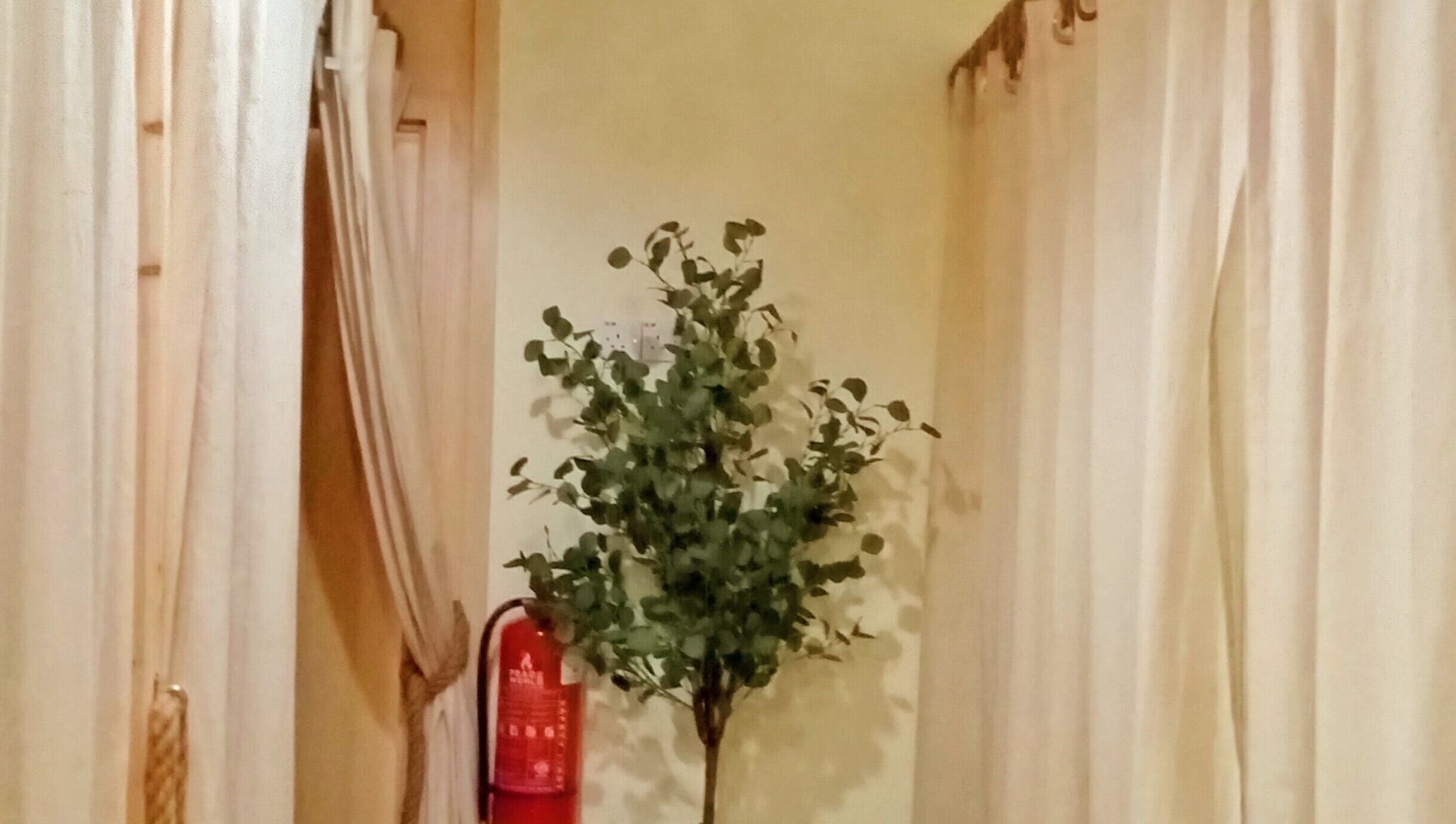 Tranquil corner at Melarossa Spa and Wellness, Batang Kali, Selangor, MY with curtains and a potted plant.