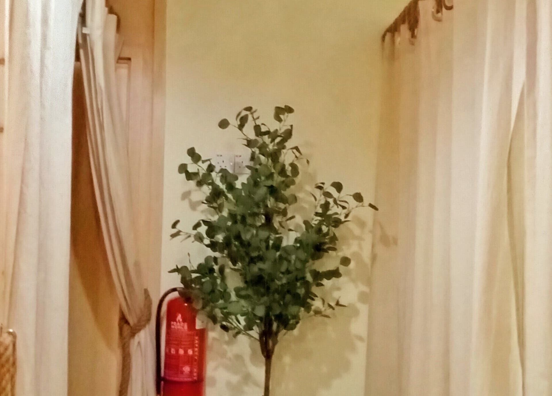 Tranquil corner at Melarossa Spa and Wellness, Batang Kali, Selangor, MY with curtains and a potted plant.