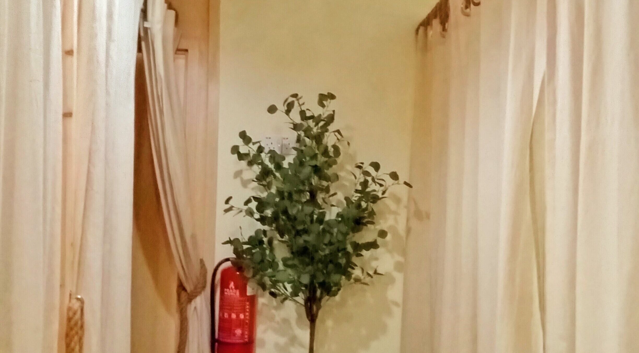 Tranquil corner at Melarossa Spa and Wellness, Batang Kali, Selangor, MY with curtains and a potted plant.