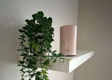 Aesthetic shelf with greenery and candle at Cheshire Brow Bar, Winsford, England, GB.