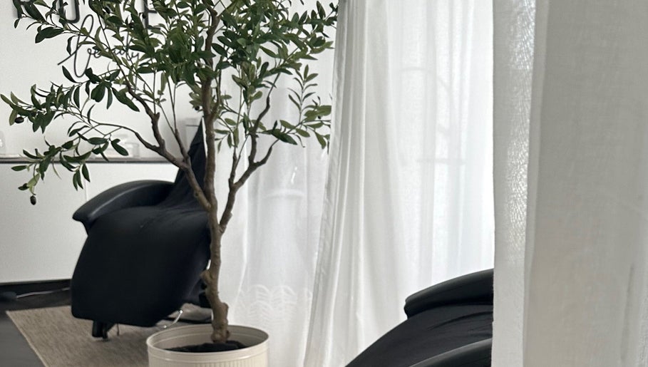 Relaxing salon interior with chair and olive tree at COCO ROSE BEAUTY, St Austell, England, GB.