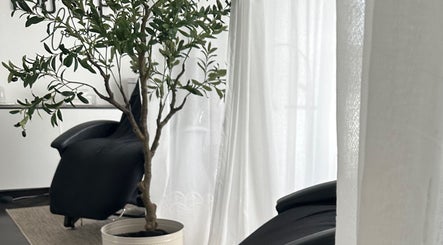 Relaxing salon interior with chair and olive tree at COCO ROSE BEAUTY, St Austell, England, GB.
