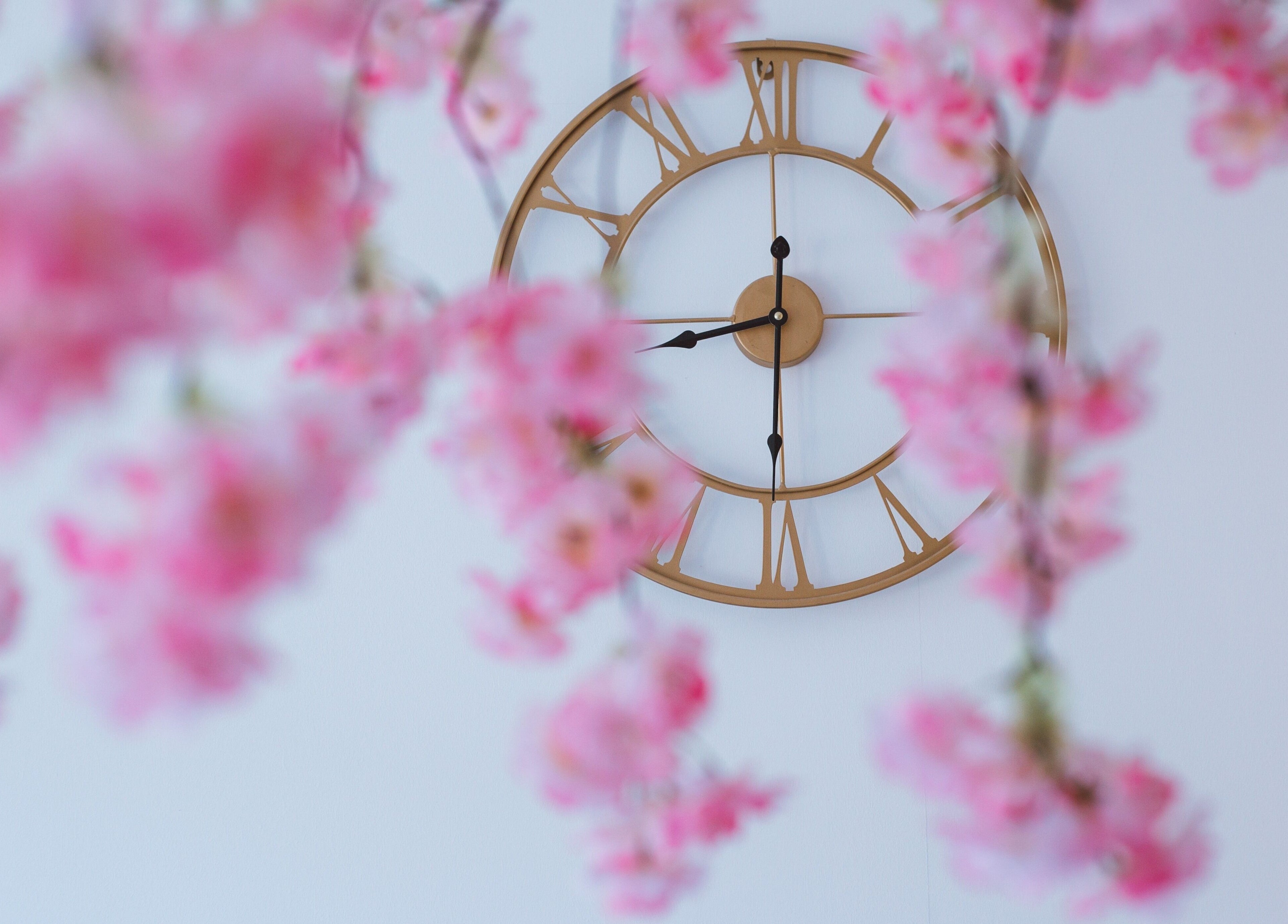 Gold Roman numeral clock behind pink blossoms at Chloe's Beauty, Carlisle, England, GB.