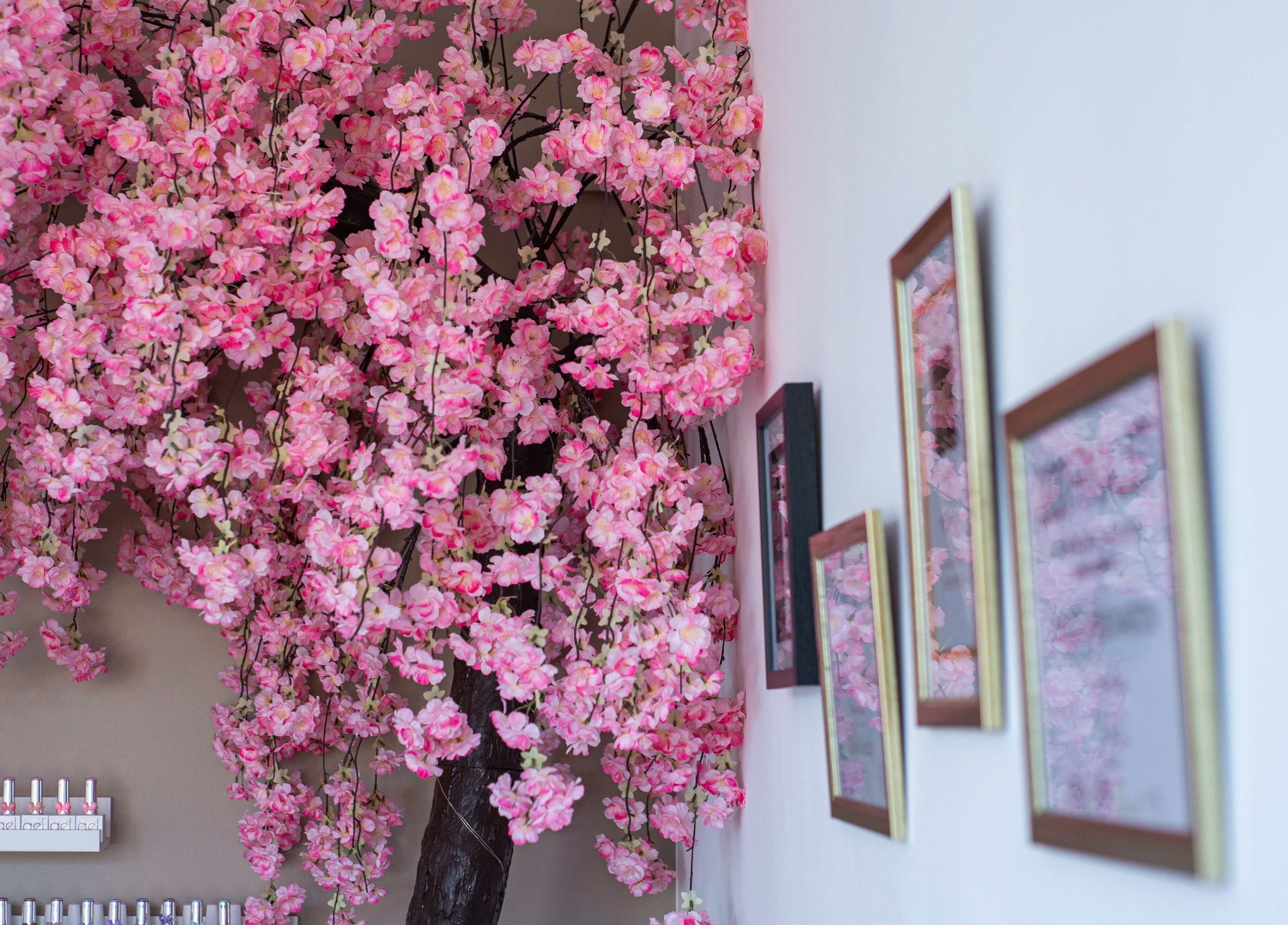 Pink cherry blossoms adorn the walls of Chloe's Beauty in Carlisle, England, GB, creating a serene ambiance.