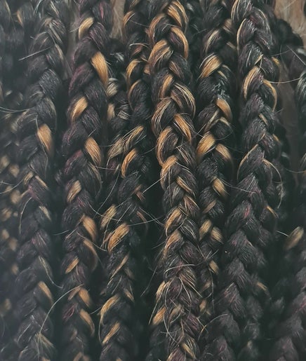 Absolute Braids by Veronica  image 2
