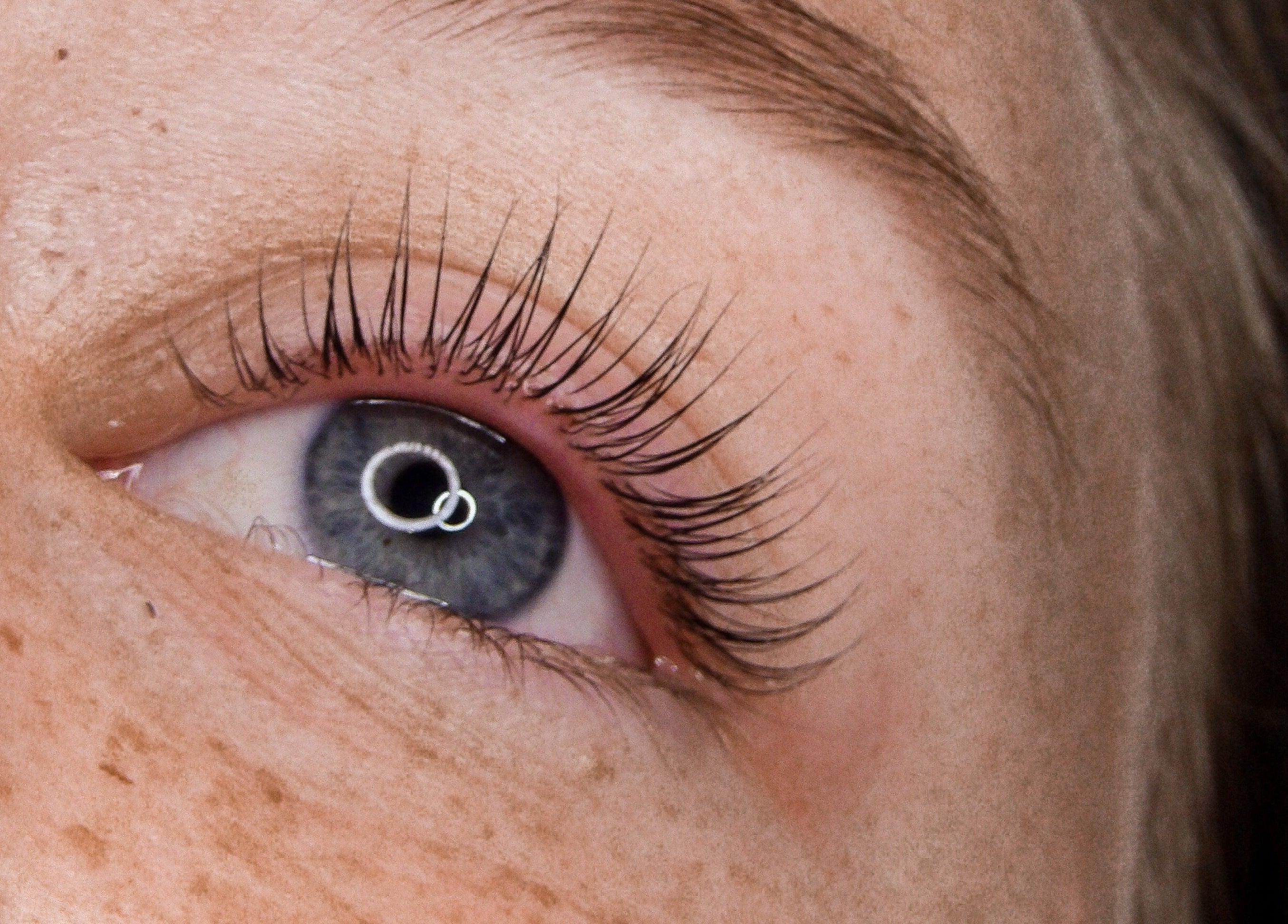 Close-up of styled lashes at Élique Lash + Brow Studio, Randburg, Gauteng, ZA.